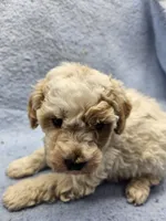 processed/1de77660-f3bd-4200-80ea-918fe0971af7/listing/2d4d7ea4-3109-4c87-b868-4a247e768cef/e8acdef0-687d-425b-ba2d-ba1cf7cca1e8