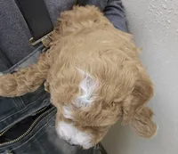 processed/1de77660-f3bd-4200-80ea-918fe0971af7/listing/33fbfe73-901b-4edd-a0a5-6f07032c5f81/06194182-7003-4e88-a8b3-1ac0ccf29e71