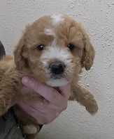 processed/1de77660-f3bd-4200-80ea-918fe0971af7/listing/33fbfe73-901b-4edd-a0a5-6f07032c5f81/677eebb9-f6f0-494c-8da6-fa866ffa591d