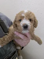 processed/1de77660-f3bd-4200-80ea-918fe0971af7/listing/33fbfe73-901b-4edd-a0a5-6f07032c5f81/ac4fb785-e5eb-48d4-acab-a0994723babc