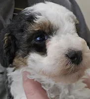 processed/1de77660-f3bd-4200-80ea-918fe0971af7/listing/4a3d6781-d8d7-47cf-8ec8-c4e63c752a4f/3e6f4688-2363-4e01-82b5-8bbc3a18c760