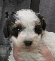 processed/1de77660-f3bd-4200-80ea-918fe0971af7/listing/4a3d6781-d8d7-47cf-8ec8-c4e63c752a4f/3ef7d1c2-3602-43eb-8614-99c4b45f55ee