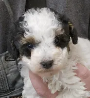 processed/1de77660-f3bd-4200-80ea-918fe0971af7/listing/4a3d6781-d8d7-47cf-8ec8-c4e63c752a4f/5605c991-5cff-4549-9ca6-4f56ed08c58d