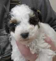 processed/1de77660-f3bd-4200-80ea-918fe0971af7/listing/4a3d6781-d8d7-47cf-8ec8-c4e63c752a4f/99bd45ac-88aa-41aa-a94a-dd34605dea8d