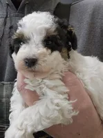 processed/1de77660-f3bd-4200-80ea-918fe0971af7/listing/4a3d6781-d8d7-47cf-8ec8-c4e63c752a4f/a5f5b902-ad5c-47ba-bd20-9b021af77d93