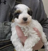 processed/1de77660-f3bd-4200-80ea-918fe0971af7/listing/4a3d6781-d8d7-47cf-8ec8-c4e63c752a4f/b7cf31a2-0649-47cb-b357-cd61de5a763f