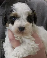 processed/1de77660-f3bd-4200-80ea-918fe0971af7/listing/4a3d6781-d8d7-47cf-8ec8-c4e63c752a4f/e0cc0ec5-3356-4474-8a8f-969b89fae863