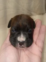 processed/1de77660-f3bd-4200-80ea-918fe0971af7/listing/4eab4b33-f3fa-44a7-a4da-fef7f25d4676/01f4d737-7192-4ad9-84cc-70cf324922e0