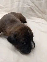 processed/1de77660-f3bd-4200-80ea-918fe0971af7/listing/517628d0-6c86-4d66-846d-b13954ff26cd/2609d510-4422-4c00-bfd0-68c705bfa09f