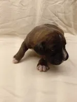 processed/1de77660-f3bd-4200-80ea-918fe0971af7/listing/517628d0-6c86-4d66-846d-b13954ff26cd/48b6513b-55c5-430a-99bb-2a17fd841b6d