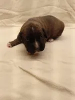 processed/1de77660-f3bd-4200-80ea-918fe0971af7/listing/517628d0-6c86-4d66-846d-b13954ff26cd/59b64482-4e3b-4d5a-81b5-5fbb48c9ea0b