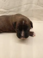 processed/1de77660-f3bd-4200-80ea-918fe0971af7/listing/517628d0-6c86-4d66-846d-b13954ff26cd/ca49ea27-1b9a-4602-b5bd-9a353edb457f