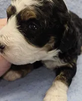 processed/1de77660-f3bd-4200-80ea-918fe0971af7/listing/53fb0e1b-dfd7-40fa-90a2-25e039e1a421/13d105bd-be64-4d3d-a292-7da183926e65