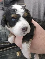 processed/1de77660-f3bd-4200-80ea-918fe0971af7/listing/53fb0e1b-dfd7-40fa-90a2-25e039e1a421/d0fe1d75-3acc-41b9-9c44-4c24415703e2