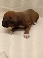 processed/1de77660-f3bd-4200-80ea-918fe0971af7/listing/5533b354-c210-4eec-bcd7-8965f62bc037/4fe9af39-dc32-4d61-86f8-a684250190fc