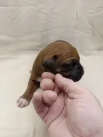 processed/1de77660-f3bd-4200-80ea-918fe0971af7/listing/5533b354-c210-4eec-bcd7-8965f62bc037/811ad96c-f88b-4783-8210-b687427ee41a