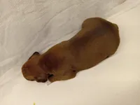 processed/1de77660-f3bd-4200-80ea-918fe0971af7/listing/5533b354-c210-4eec-bcd7-8965f62bc037/892e5f18-bcfa-4039-919d-a9a6a726588f