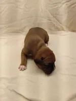 processed/1de77660-f3bd-4200-80ea-918fe0971af7/listing/5533b354-c210-4eec-bcd7-8965f62bc037/9564b292-381a-4ded-a354-a933a84f5cda