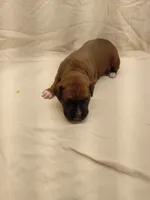 processed/1de77660-f3bd-4200-80ea-918fe0971af7/listing/5533b354-c210-4eec-bcd7-8965f62bc037/b31f2a62-b431-4425-a892-8fbabcbc697a