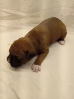 processed/1de77660-f3bd-4200-80ea-918fe0971af7/listing/5533b354-c210-4eec-bcd7-8965f62bc037/b3ee9a55-7598-4da3-a5c1-166b065dfbf8