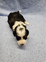 processed/1de77660-f3bd-4200-80ea-918fe0971af7/listing/849b6bf3-4aee-45e1-816f-5be8aba01ff2/43b5b1b9-5263-48b5-8e84-f8179331a06b