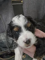 processed/1de77660-f3bd-4200-80ea-918fe0971af7/listing/849b6bf3-4aee-45e1-816f-5be8aba01ff2/68f6c3a9-4a5c-4553-a61c-6d986490ada2