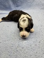 processed/1de77660-f3bd-4200-80ea-918fe0971af7/listing/849b6bf3-4aee-45e1-816f-5be8aba01ff2/c78dda5a-3ac7-49da-925c-9c4c1db97f65