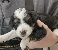 processed/1de77660-f3bd-4200-80ea-918fe0971af7/listing/849b6bf3-4aee-45e1-816f-5be8aba01ff2/d6227d6b-0bc9-4e07-a01e-a8c750ba6d4c