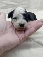 processed/1de77660-f3bd-4200-80ea-918fe0971af7/listing/960518bf-29a8-4feb-911a-403211cc67a4/20dddc95-5f36-4de6-bea0-d4f4e0ff3046