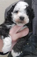 processed/1de77660-f3bd-4200-80ea-918fe0971af7/listing/960518bf-29a8-4feb-911a-403211cc67a4/270cdb02-84db-4045-8bbc-ac2386e2adbd