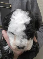 processed/1de77660-f3bd-4200-80ea-918fe0971af7/listing/960518bf-29a8-4feb-911a-403211cc67a4/72d42d69-c143-4719-ae4e-cad9b8bc33ac