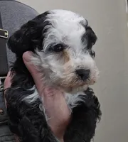 processed/1de77660-f3bd-4200-80ea-918fe0971af7/listing/960518bf-29a8-4feb-911a-403211cc67a4/b666088b-4c89-4ba8-ad27-adf3851d56e9