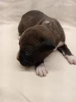 processed/1de77660-f3bd-4200-80ea-918fe0971af7/listing/b2b6b5c1-fef4-4392-ac32-c88eb265cf5f/1ade05f1-95fe-4ee8-8270-f264c2a48a08