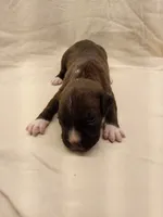 processed/1de77660-f3bd-4200-80ea-918fe0971af7/listing/b2b6b5c1-fef4-4392-ac32-c88eb265cf5f/2b7bee12-a610-47f7-b345-948f0bb8243f