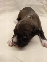 processed/1de77660-f3bd-4200-80ea-918fe0971af7/listing/b2b6b5c1-fef4-4392-ac32-c88eb265cf5f/7feb74c5-ebed-4704-8ee2-61a9956ff8c4