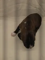 processed/1de77660-f3bd-4200-80ea-918fe0971af7/listing/b2b6b5c1-fef4-4392-ac32-c88eb265cf5f/8546199d-46e3-491f-ac6f-91c9a3852acc