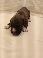 processed/1de77660-f3bd-4200-80ea-918fe0971af7/listing/b2b6b5c1-fef4-4392-ac32-c88eb265cf5f/9f8bc0d2-9d69-4dc9-a3c6-f06c770b7d18