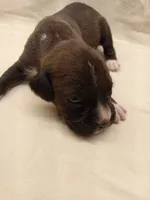 processed/1de77660-f3bd-4200-80ea-918fe0971af7/listing/b2b6b5c1-fef4-4392-ac32-c88eb265cf5f/e7ca3c1c-e37c-467e-a717-948d3aa240e0