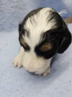 processed/1de77660-f3bd-4200-80ea-918fe0971af7/listing/d96386cf-e5fb-4091-acb9-84c68bdb7257/4df0bc99-7412-4e2d-b3e0-de7e3e628b40