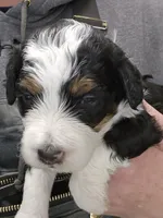 processed/1de77660-f3bd-4200-80ea-918fe0971af7/listing/ffe13062-f67b-4817-8b09-4a78a5398380/12c68655-ef73-4d08-ba29-73a8d356b365