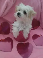 processed/1df28f81-10d6-472f-b96e-bffcdbd854fc/listing/340ce1c5-5372-4e5c-b01b-ead72eb3229c/26d7f51b-a63f-4e4a-b762-e7dff0c39248