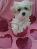 processed/1df28f81-10d6-472f-b96e-bffcdbd854fc/listing/340ce1c5-5372-4e5c-b01b-ead72eb3229c/43a1162c-d1ee-4368-902e-e31dd238cb78