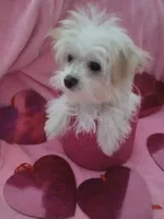 processed/1df28f81-10d6-472f-b96e-bffcdbd854fc/listing/340ce1c5-5372-4e5c-b01b-ead72eb3229c/7410c929-139d-43ec-822f-42599e4f5642