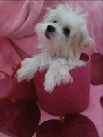 processed/1df28f81-10d6-472f-b96e-bffcdbd854fc/listing/340ce1c5-5372-4e5c-b01b-ead72eb3229c/ad3e0f7b-5356-4138-8b03-5d081d16ce03