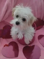 processed/1df28f81-10d6-472f-b96e-bffcdbd854fc/listing/340ce1c5-5372-4e5c-b01b-ead72eb3229c/b6b007ae-d1c3-4abc-98e5-7e077af52508