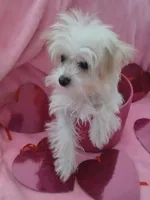 processed/1df28f81-10d6-472f-b96e-bffcdbd854fc/listing/340ce1c5-5372-4e5c-b01b-ead72eb3229c/c708d67a-98bb-406b-87cb-8646980a2662