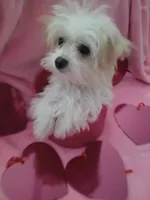 processed/1df28f81-10d6-472f-b96e-bffcdbd854fc/listing/340ce1c5-5372-4e5c-b01b-ead72eb3229c/d4c287e4-6fbd-4ece-b3df-a2afd95e2b05