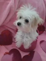 processed/1df28f81-10d6-472f-b96e-bffcdbd854fc/listing/340ce1c5-5372-4e5c-b01b-ead72eb3229c/f411f3cf-9118-44f5-ab7c-a5cc79770e4b