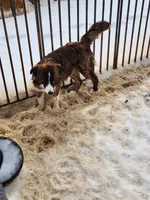 processed/1df3cba6-e1ab-44a5-9019-e827aed136c6/listing/97d26f9f-8f99-495d-b4a4-2446824cc5a3/440e2ee4-b72e-46c1-9f8e-7f798de03a88