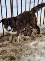 processed/1df3cba6-e1ab-44a5-9019-e827aed136c6/listing/97d26f9f-8f99-495d-b4a4-2446824cc5a3/81d65453-db20-4bed-83c7-2cfea367800b